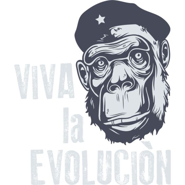 2016 03 14 025 Thumbnail